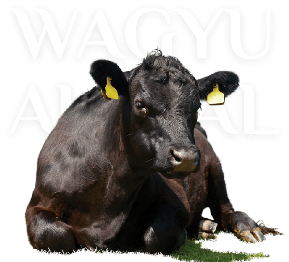 Group 1000001827 Min