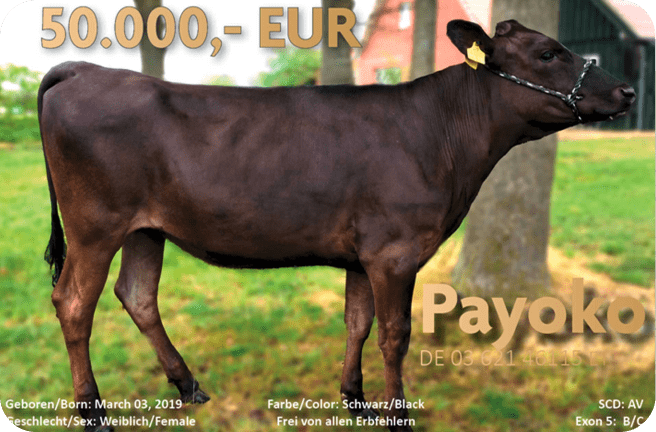 Image 142 (1) Min (1)